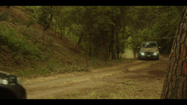 vlcsnap-2026-06-16-13h12m48s046.png