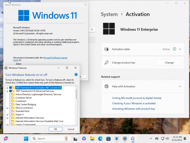 Windows 11 Enterprise 24H2 Build 26100.3476 1.png