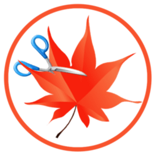 EasyCut Pro.png
