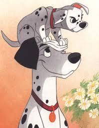 pongo.jpg