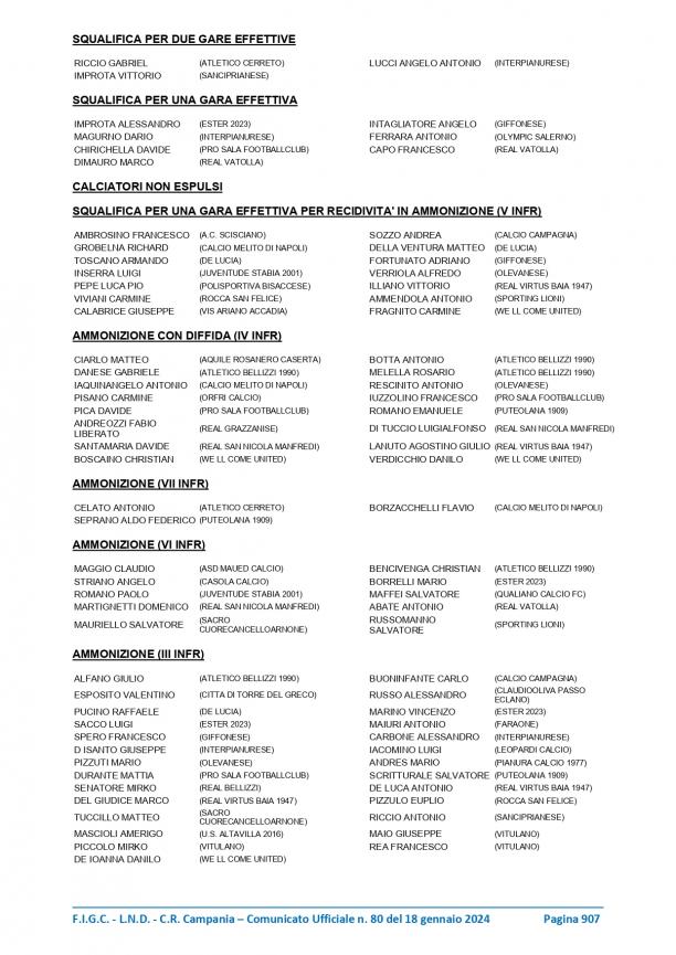 CU-80-2023-2024-del-18.01.2024-7-19_page-0013.jpg