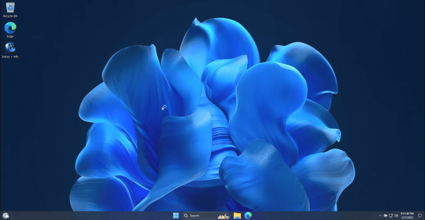 Windows 11 22H2 Pro X-Lite screen.png