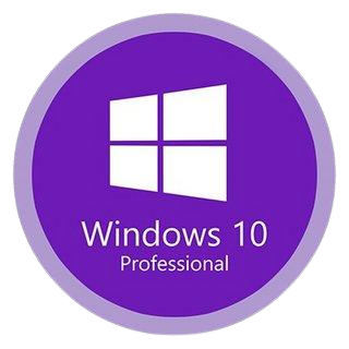 Windows 10 Pro.png