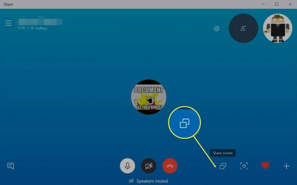 Skype screen.jpg