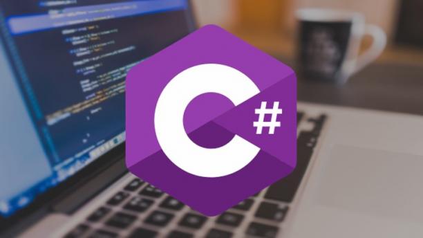 C# 10  Ultimate Guide.jpg