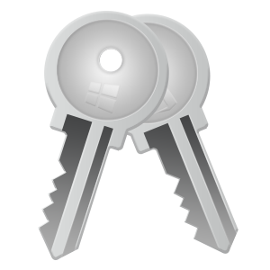 wisewindowskeyfinder-icon.png