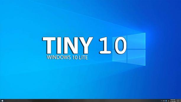 tiny10 sc.jpg