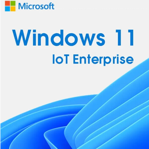 Windows 11 IoT Enterprise.png