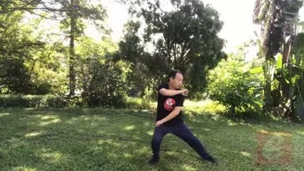 Sparring Tai Chi-Chen New Frame Routine Xinjia 2 For Fitness.png
