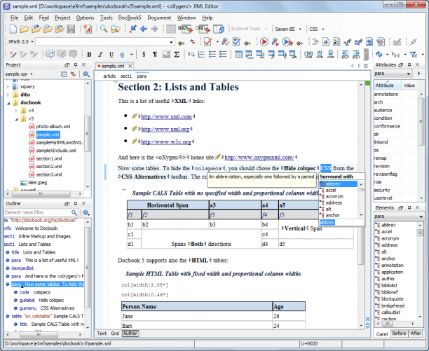 Oxygen XML Editor sc.png