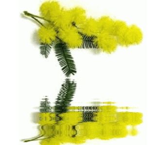 8-marzo-festa-della-donna.gif