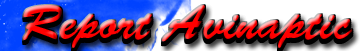 report.png