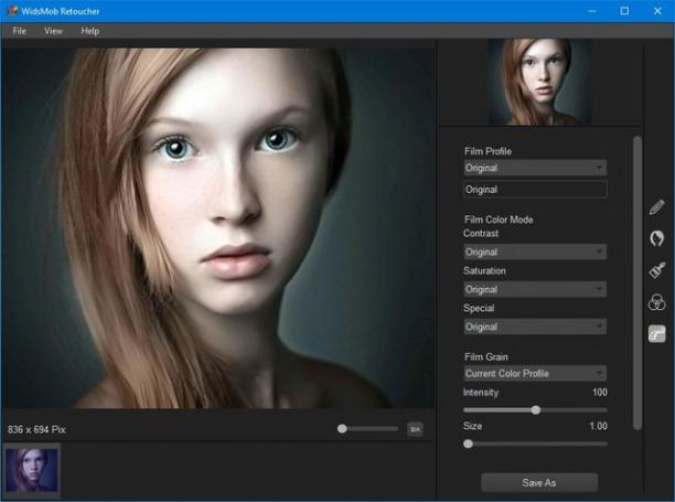 WidsMob AI Retoucher screen.jpg