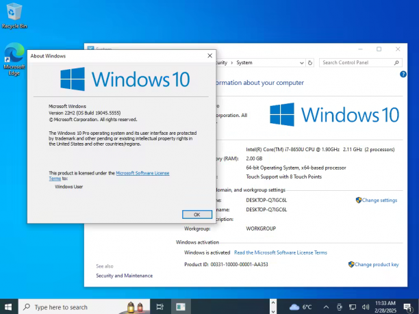 Windows 10 Pro 22H2 19045 5555 sc.png