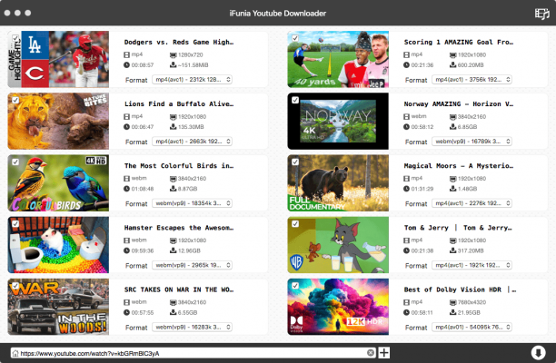 iFunia YouTube Downloader sc.png