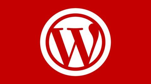 WordPress  From Zero to Expert Level.jpg