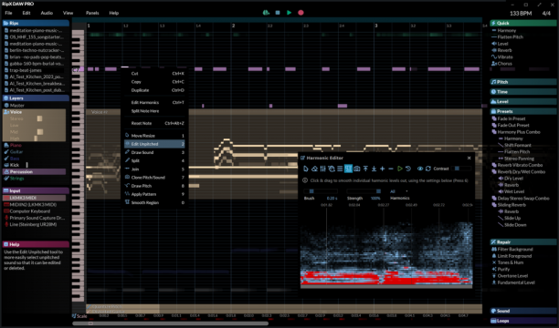 Mix RipX DAW PRO sc.png