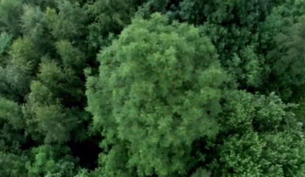 vlcsnap-2020-05-14-20h17m15s654.png