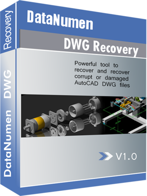 ddwgr.png