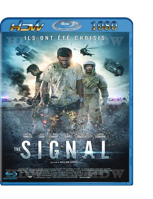 The_Signal.jpg