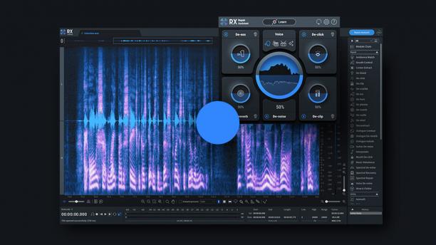 iZotope RX 10 Audio Editor Advanced sc.jpg