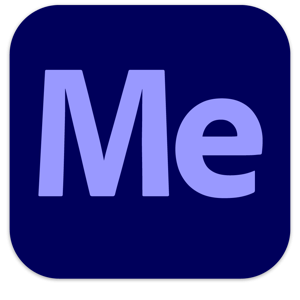 007b3bf6_medium.png