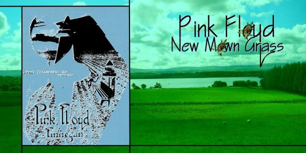 Pink Floyd [1971.10.17] New Mown Grass (PinkRoioShn-008) - Cover.jpg