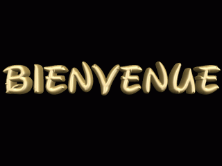 bienvenue 2.gif