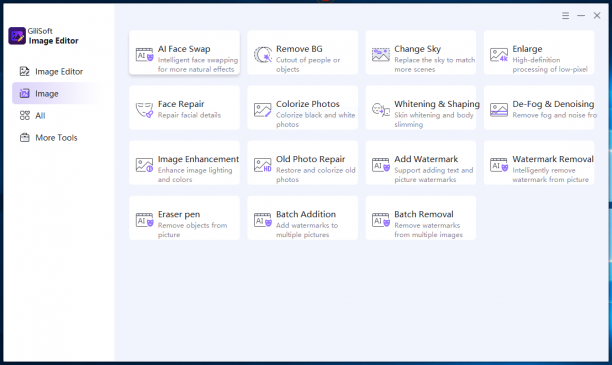 Gilisoft Image Editor sc.PNG