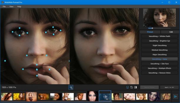 WidsMob Portrait Pro screen.jpg