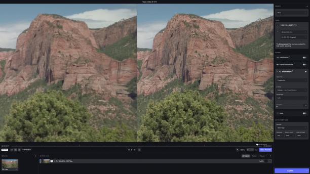 Topaz Video AI screen.jpg