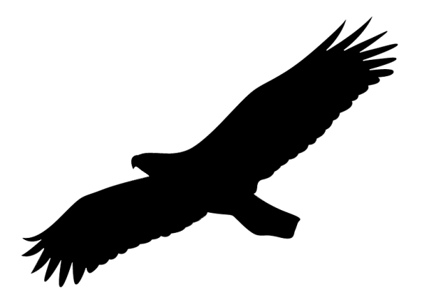 bXm.png