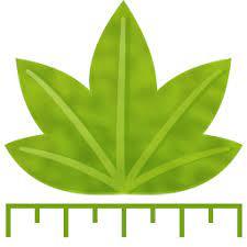 Digimizer.jpg