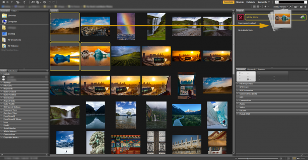 Adobe Bridge screen.png