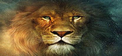 HSYb2KT-lion-wallpapers.jpg