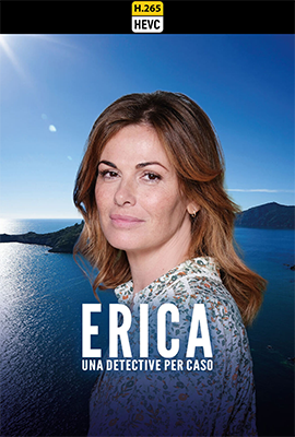 erica hevc.png