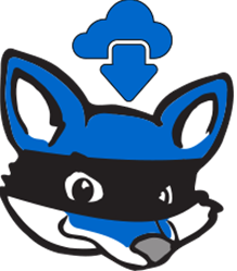 RedFox-AnyStream-logo.png