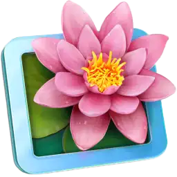 LilyView.png
