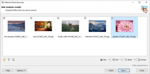 Hetman Photo Recovery screen.jpg