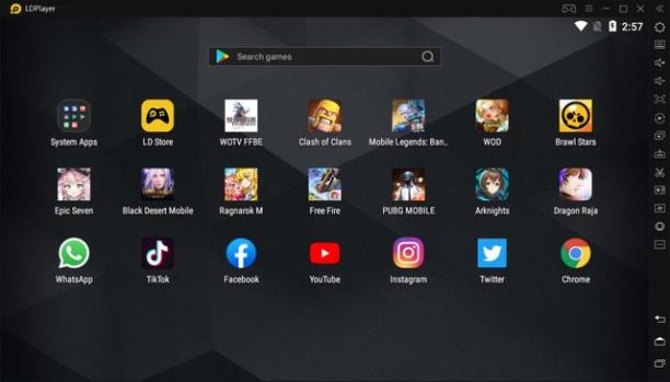LDPlayer screen.jpg