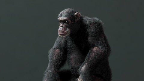 Master Cg Creature Creation.jpg