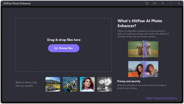 HitPaw Photo Enhancer screen.PNG