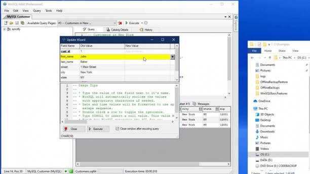 Synametrics Technologies WinSQL sc.jpg