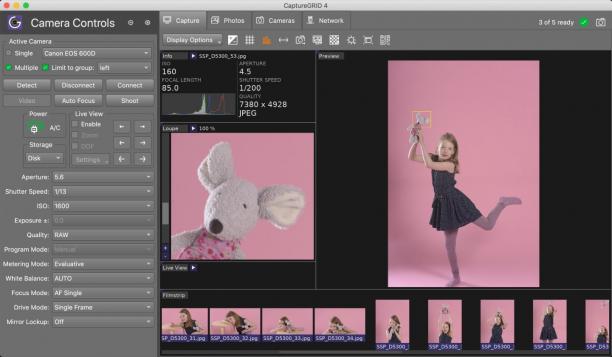CaptureGRID screen.jpg