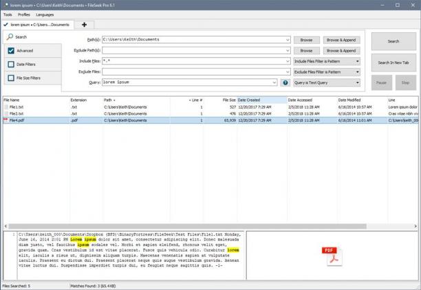 FileSeek Pro screen.jpg