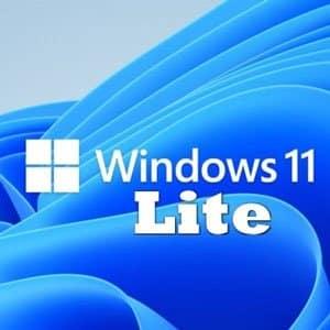 Windows 11 Pro Lite.jpg