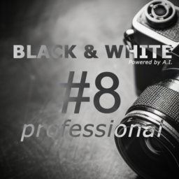 Franzis BLACK And WHITE Professional.png
