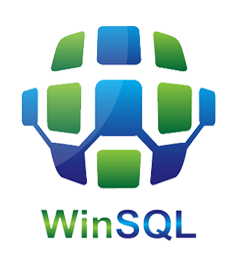 Synametrics Technologies WinSQ.png