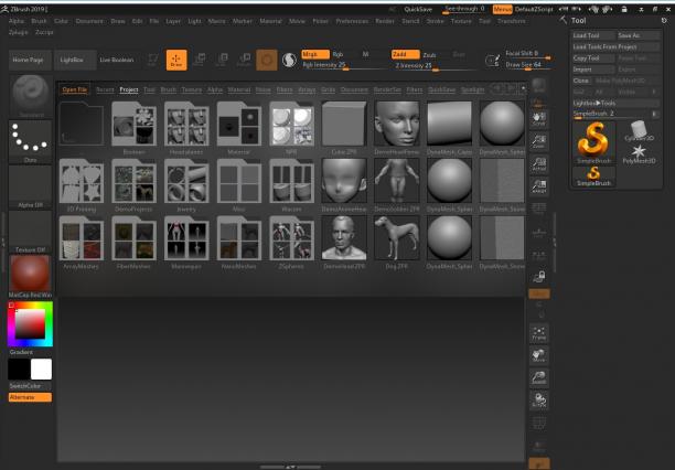 Pixologic Zbrush screen.jpg