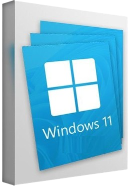 Windows 11 AIO.png
